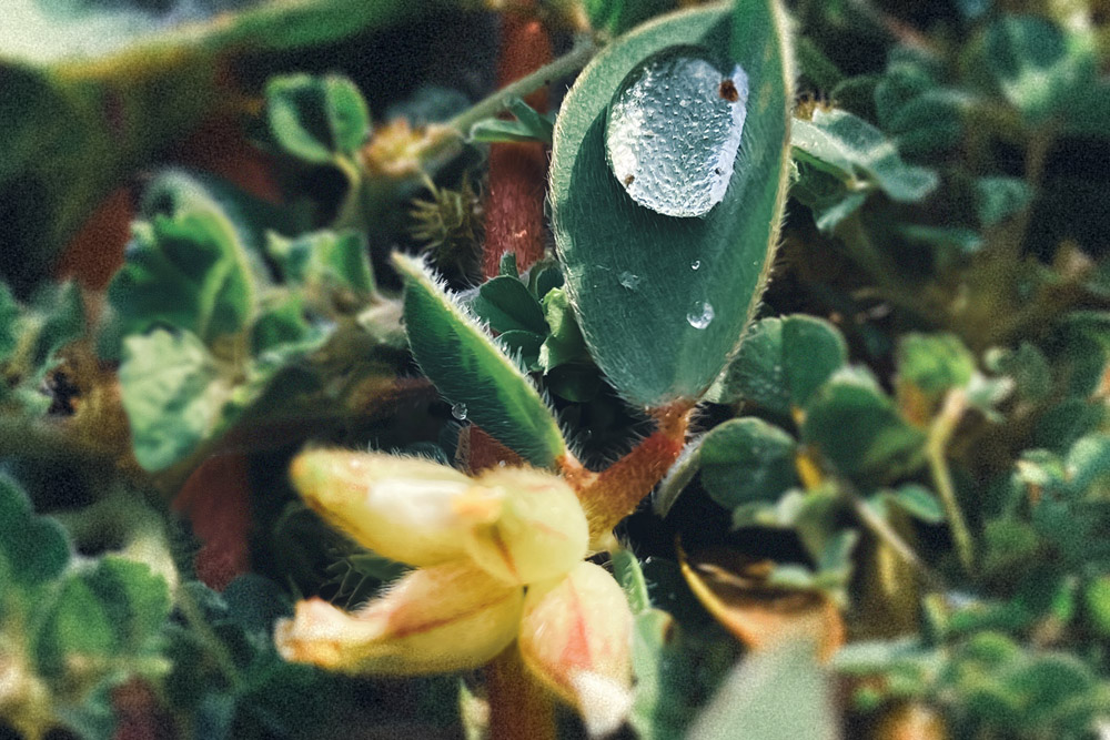 KirstenBossong-Hypnose-Ablauf-landscape KirstenBossong-Hypnose-Ablauf-landscape